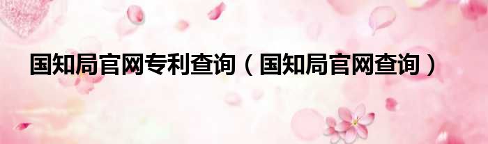 国知局官网专利查询（国知局官网查询）