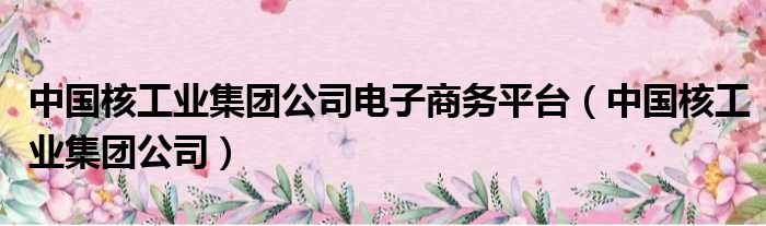 中国核工业集团公司电子商务平台（中国核工业集团公司）