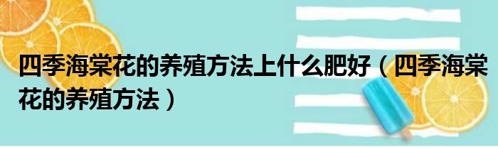 四季海棠花的养殖方法上什么肥好（四季海棠花的养殖方法）