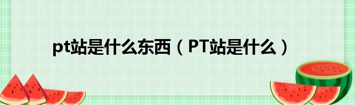 pt站是什么东西（PT站是什么）