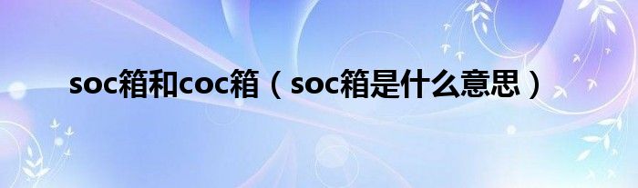 soc箱和coc箱（soc箱是什么意思）