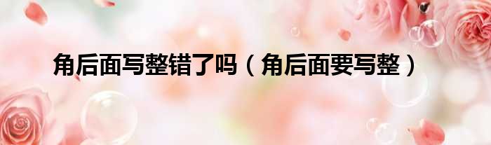 角后面写整错了吗（角后面要写整）