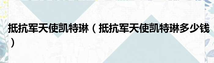抵抗军天使凯特琳（抵抗军天使凯特琳多少钱）