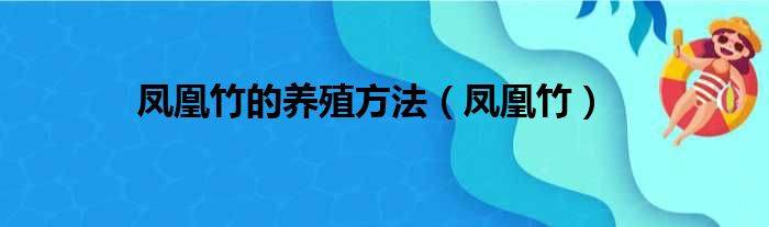 凤凰竹的养殖方法（凤凰竹）