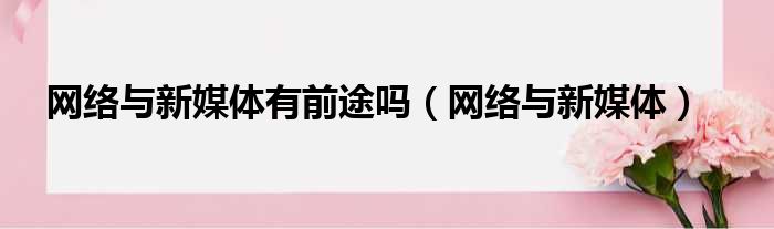 网络与新媒体有前途吗（网络与新媒体）