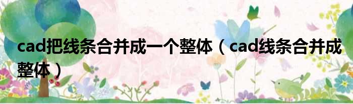 cad把线条合并成一个整体（cad线条合并成整体）