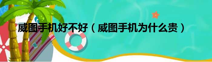 威图手机好不好（威图手机为什么贵）