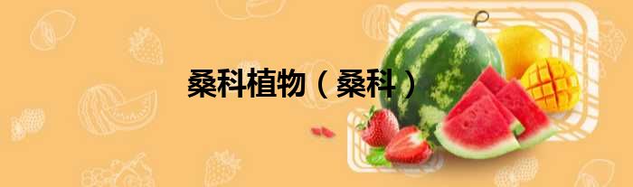 桑科植物（桑科）