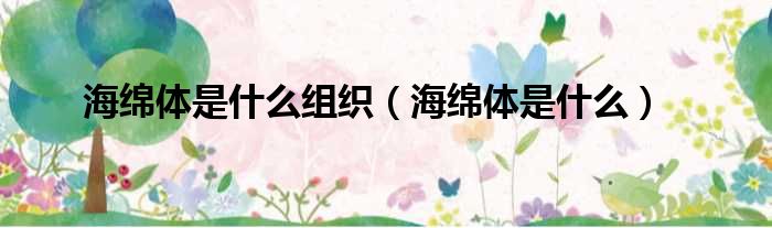 海绵体是什么组织（海绵体是什么）