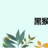 黑猴子c（黑猴子肉筋图）