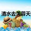 清水去芙蓉天然去雕饰的意思（雕饰的意思）