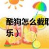 酷狗怎么截取一段音乐（如何截取视频里的音乐）