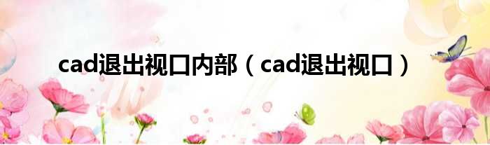 cad退出视口内部（cad退出视口）