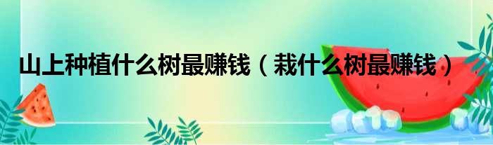 山上种植什么树最赚钱（栽什么树最赚钱）