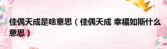 佳偶天成是啥意思（佳偶天成 幸福如斯什么意思）