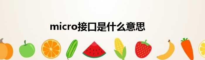 micro接口是什么意思