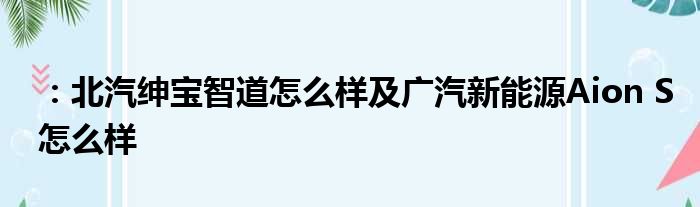 ：北汽绅宝智道怎么样及广汽新能源Aion S怎么样
