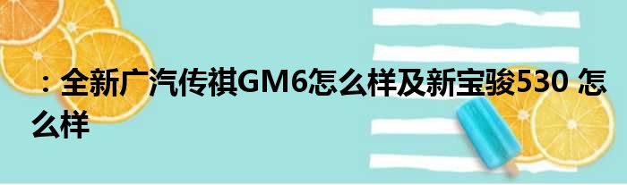 ：全新广汽传祺GM6怎么样及新宝骏530 怎么样