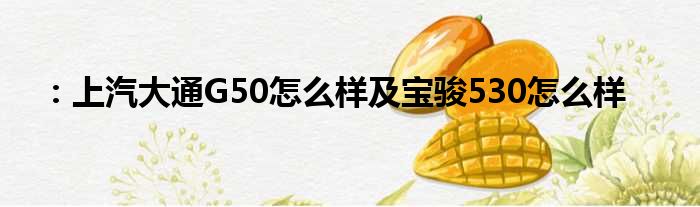 ：上汽大通G50怎么样及宝骏530怎么样