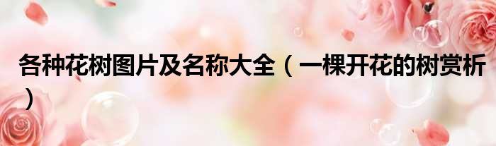 各种花树图片及名称大全（一棵开花的树赏析）