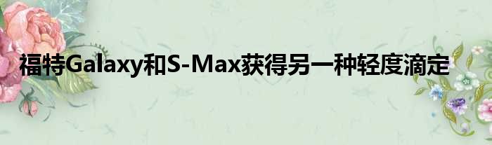 福特Galaxy和S-Max获得另一种轻度滴定