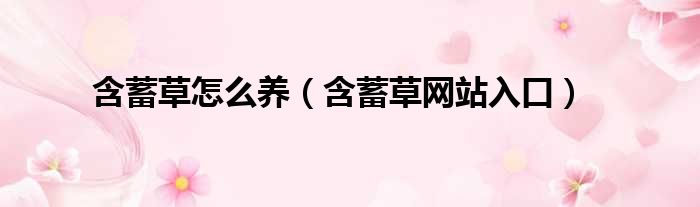 含蓄草怎么养（含蓄草网站入口）