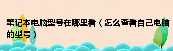 笔记本电脑型号在哪里看（怎么查看自己电脑的型号）