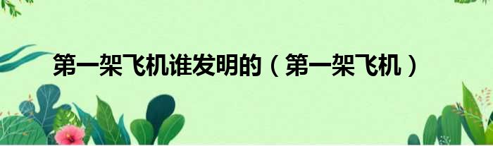 第一架飞机谁发明的（第一架飞机）