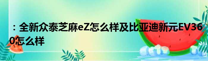 ：全新众泰芝麻eZ怎么样及比亚迪新元EV360怎么样