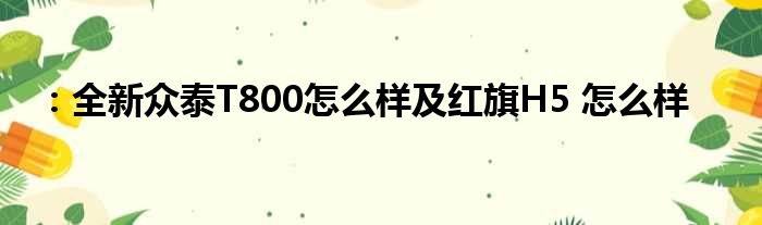 ：全新众泰T800怎么样及红旗H5 怎么样