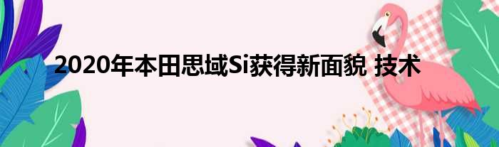 2020年本田思域Si获得新面貌 技术