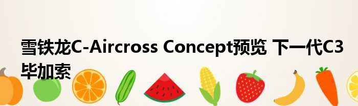 雪铁龙C-Aircross Concept预览 下一代C3毕加索