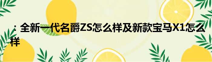 ：全新一代名爵ZS怎么样及新款宝马X1怎么样