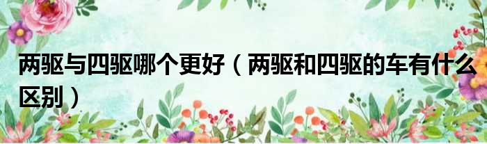 两驱与四驱哪个更好（两驱和四驱的车有什么区别）