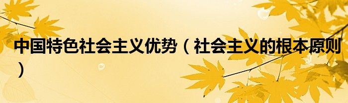 中国特色社会主义优势（社会主义的根本原则）