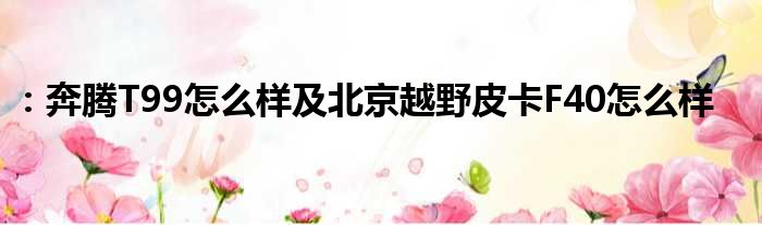 ：奔腾T99怎么样及北京越野皮卡F40怎么样