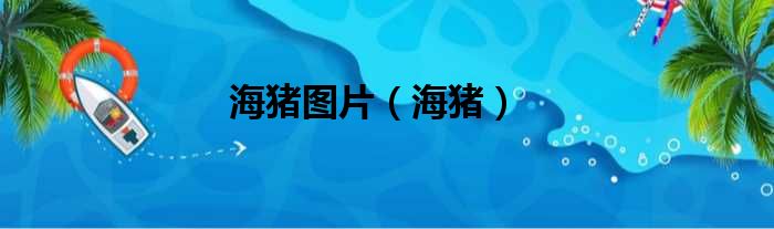 海猪图片（海猪）