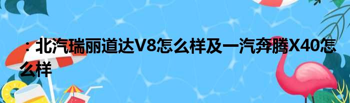 ：北汽瑞丽道达V8怎么样及一汽奔腾X40怎么样