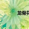 龙骨花卉有毒吗（龙骨花卉）