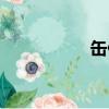 缶偏旁有哪些字（缶）