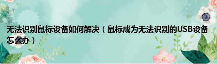 无法识别鼠标设备如何解决（鼠标成为无法识别的USB设备 怎么办）