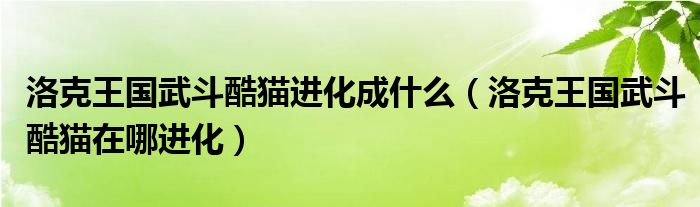 洛克王国武斗酷猫进化成什么（洛克王国武斗酷猫在哪进化）