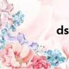 dsa医学上是什么意思