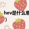 hev是什么意思啊 医学免疫（hev是什么意思）