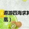 遨游四海求其凰直至地老天荒（遨游四海求其凰）