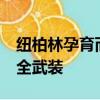 纽柏林孕育而生的空力套件雷克萨斯 RC F完全武装