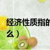 经济性质指的是什么意思（经济性质指的是什么）
