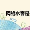 网络水客是什么意思（水客是什么意思）