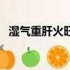 湿气重肝火旺怎么调理（肝火旺怎么调理）