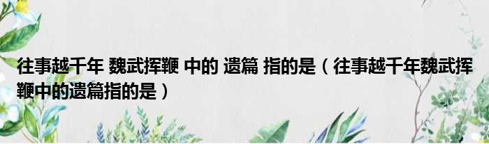 往事越千年 魏武挥鞭 中的 遗篇 指的是（往事越千年魏武挥鞭中的遗篇指的是）